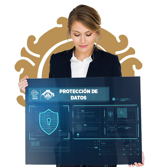 Ilustración de Avisos de Privacidad