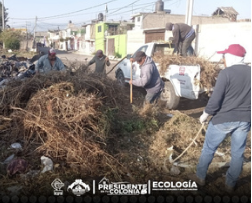  Refuerza Gobierno Municipal acciones de limpieza en la colonia Real de San Martin