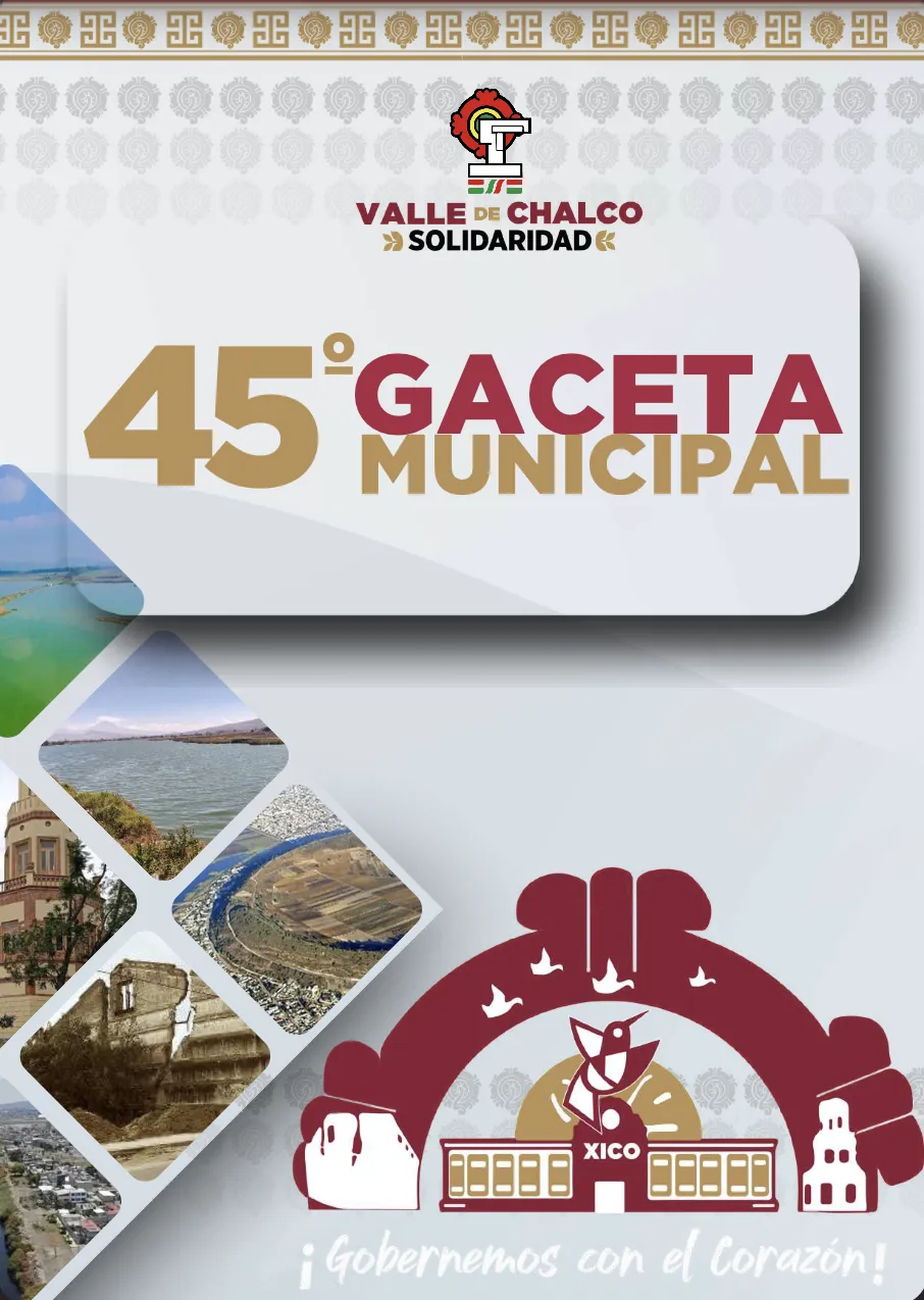 GACETA No.45