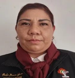 Verificador