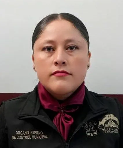 Verificador