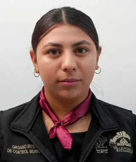 Verificador