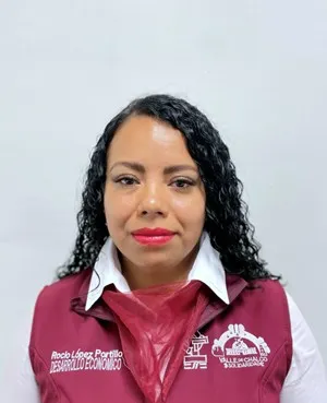 Verificador