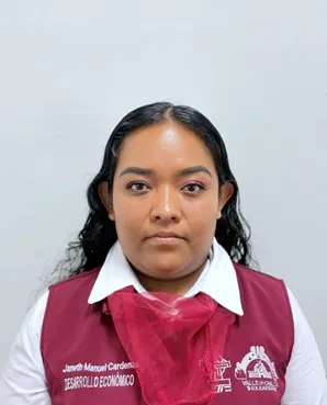 Verificador