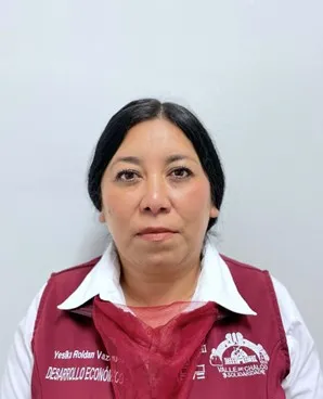 Verificador