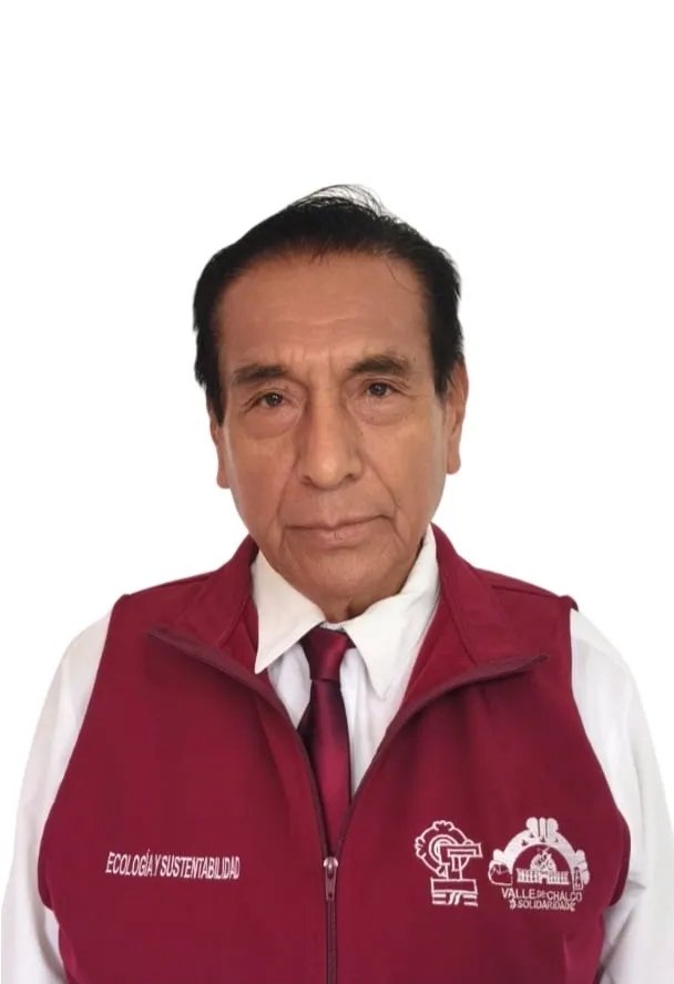 Verificador