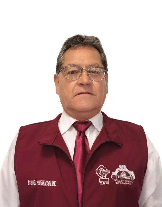 Verificador
