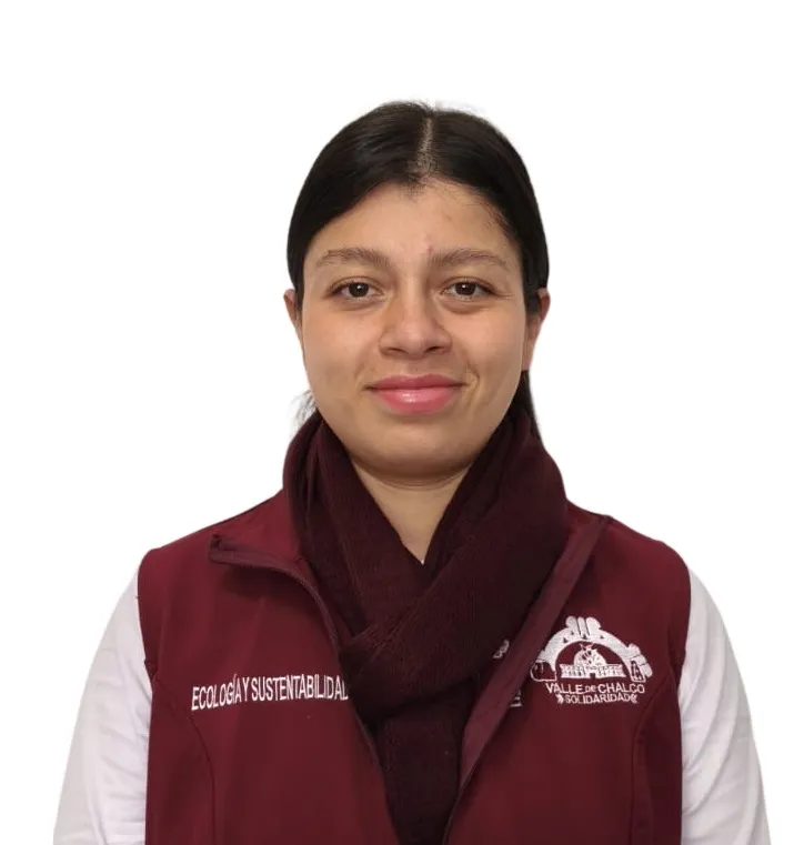 Verificador