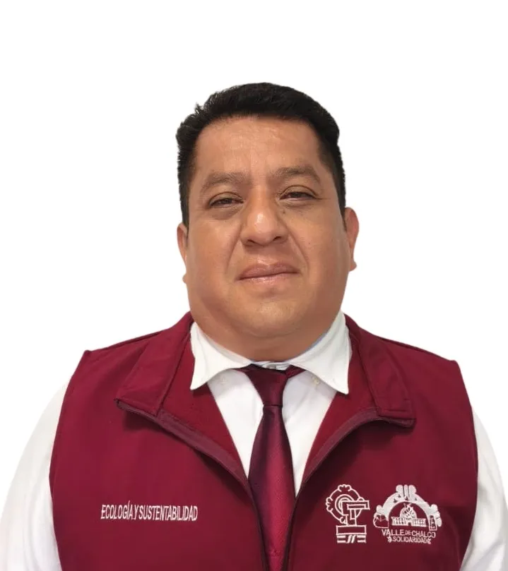Verificador