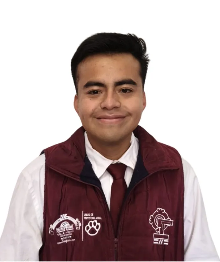 Verificador