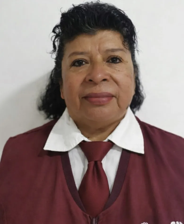 Verificador