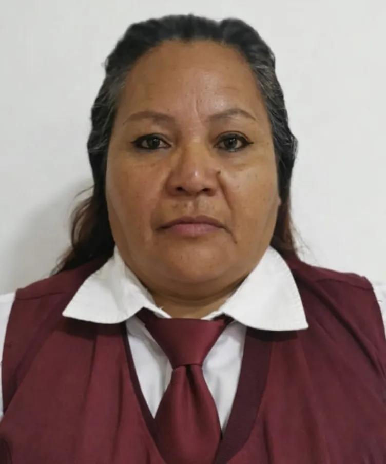 Verificador