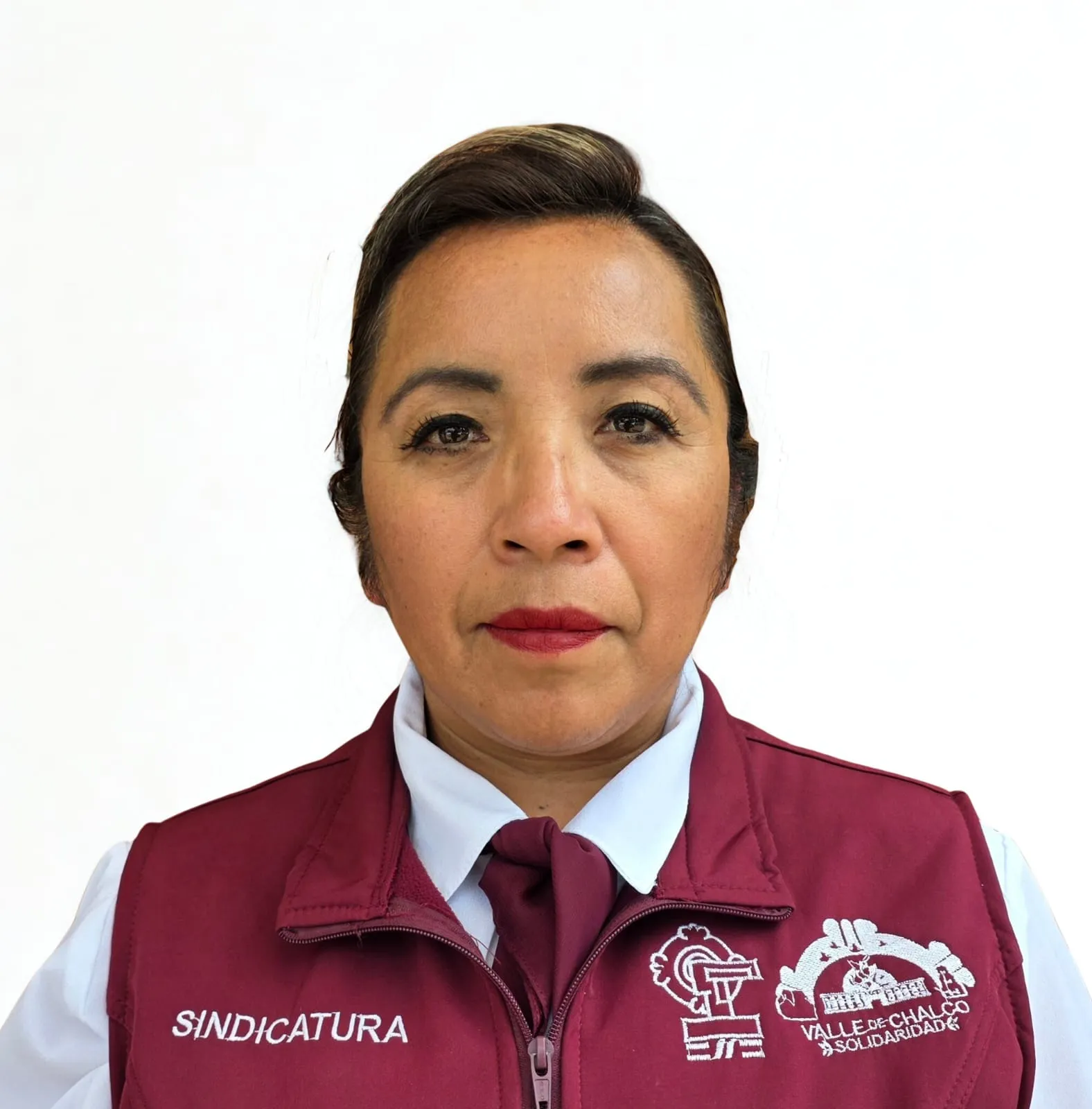 Verificador