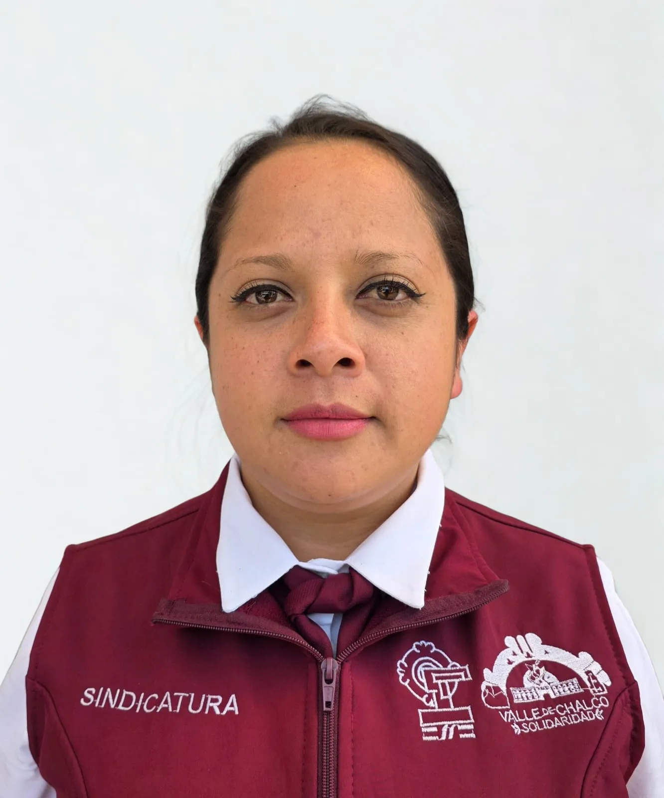 Verificador