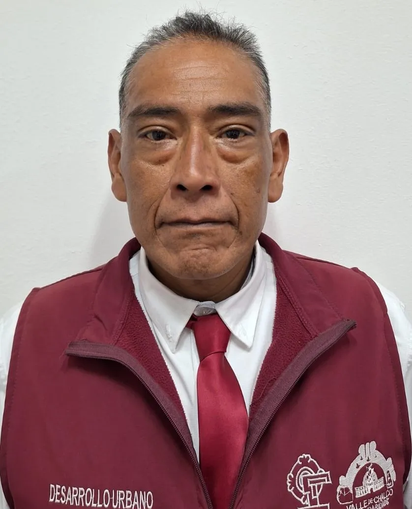 Verificador