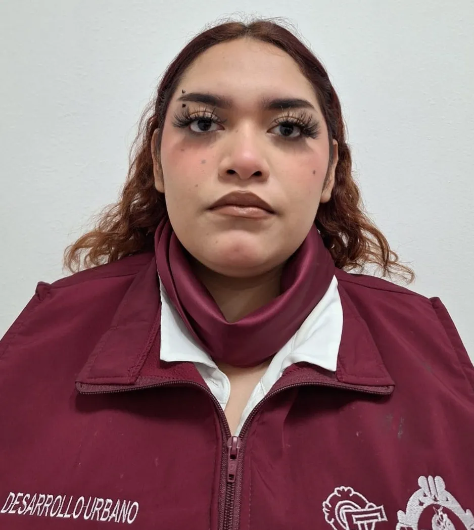 Verificador