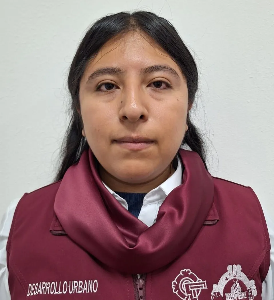 Verificador