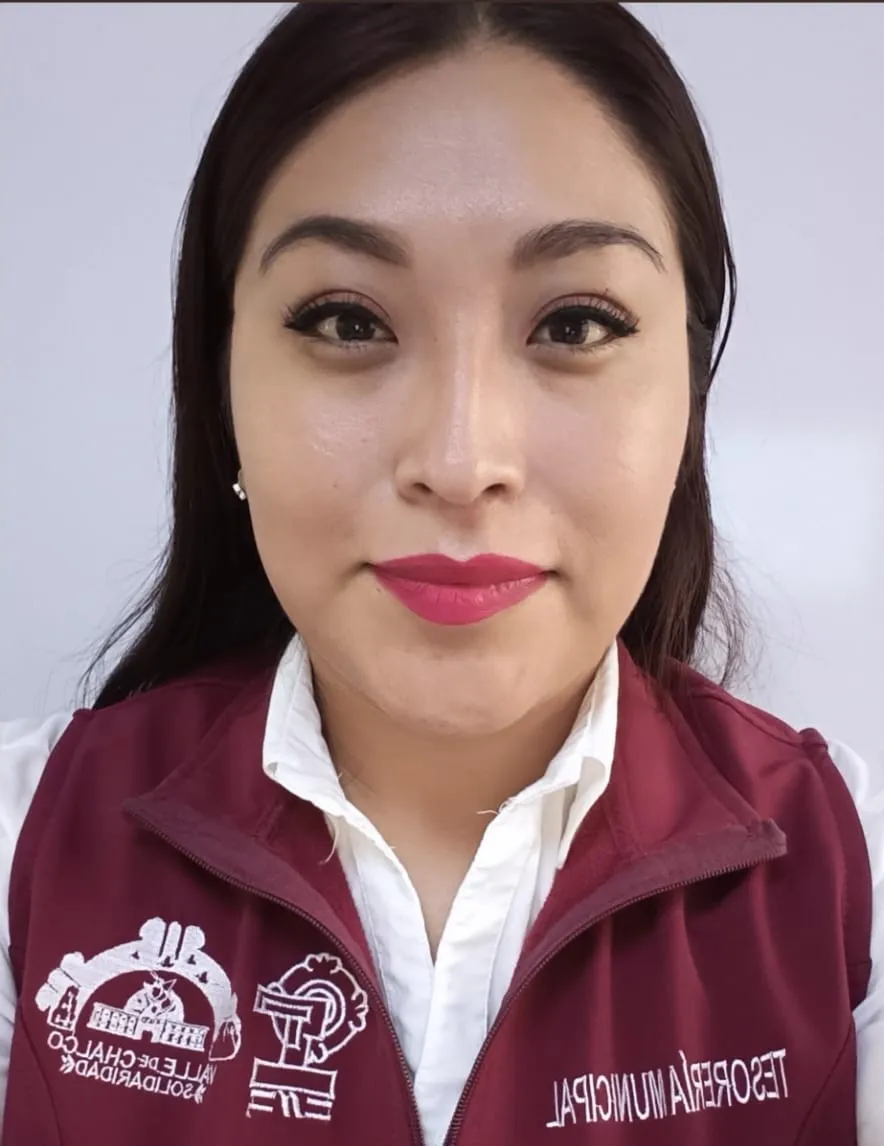 Verificador