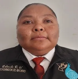 Verificador