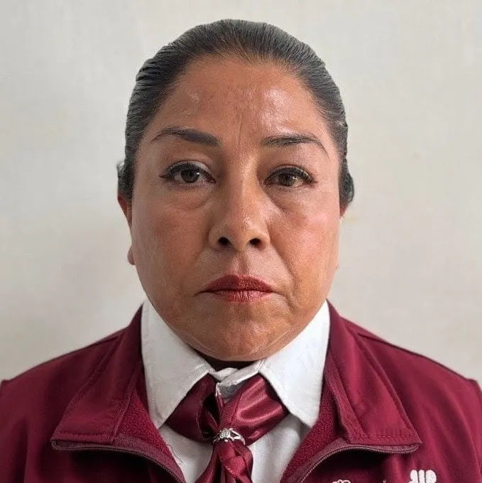Verificador