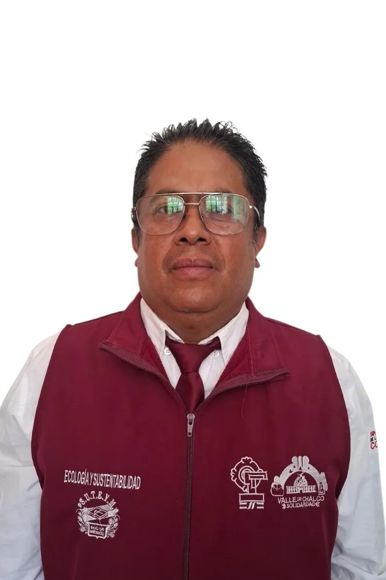 Verificador