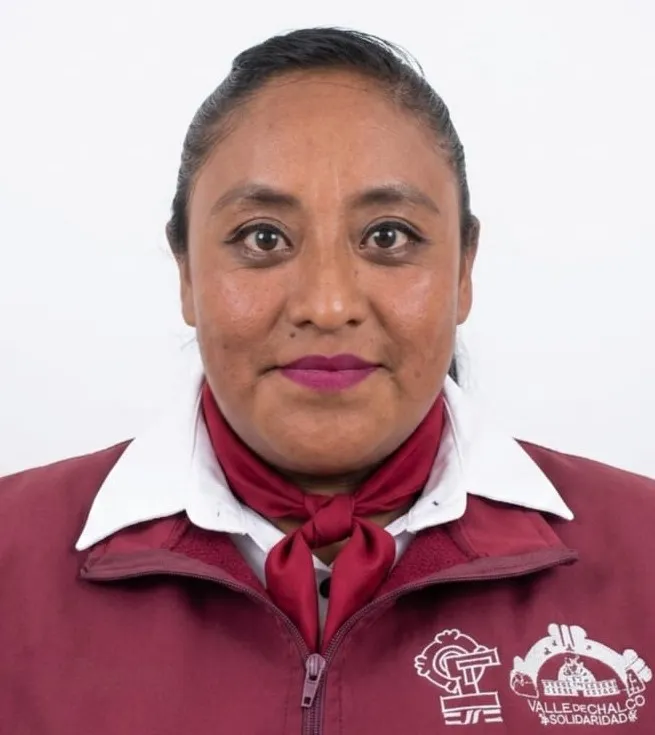 Verificador