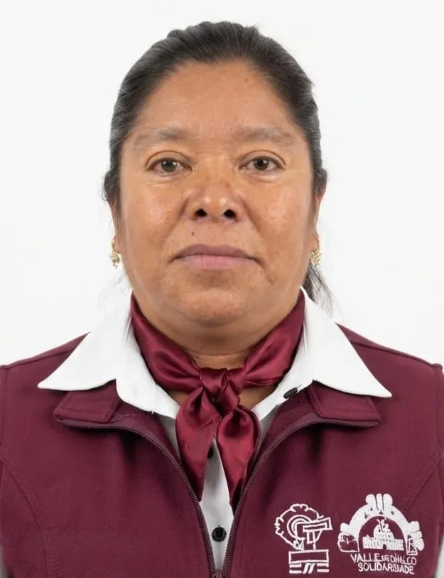 Verificador