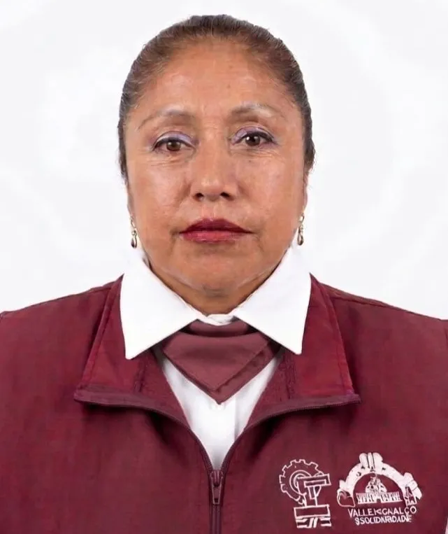Verificador