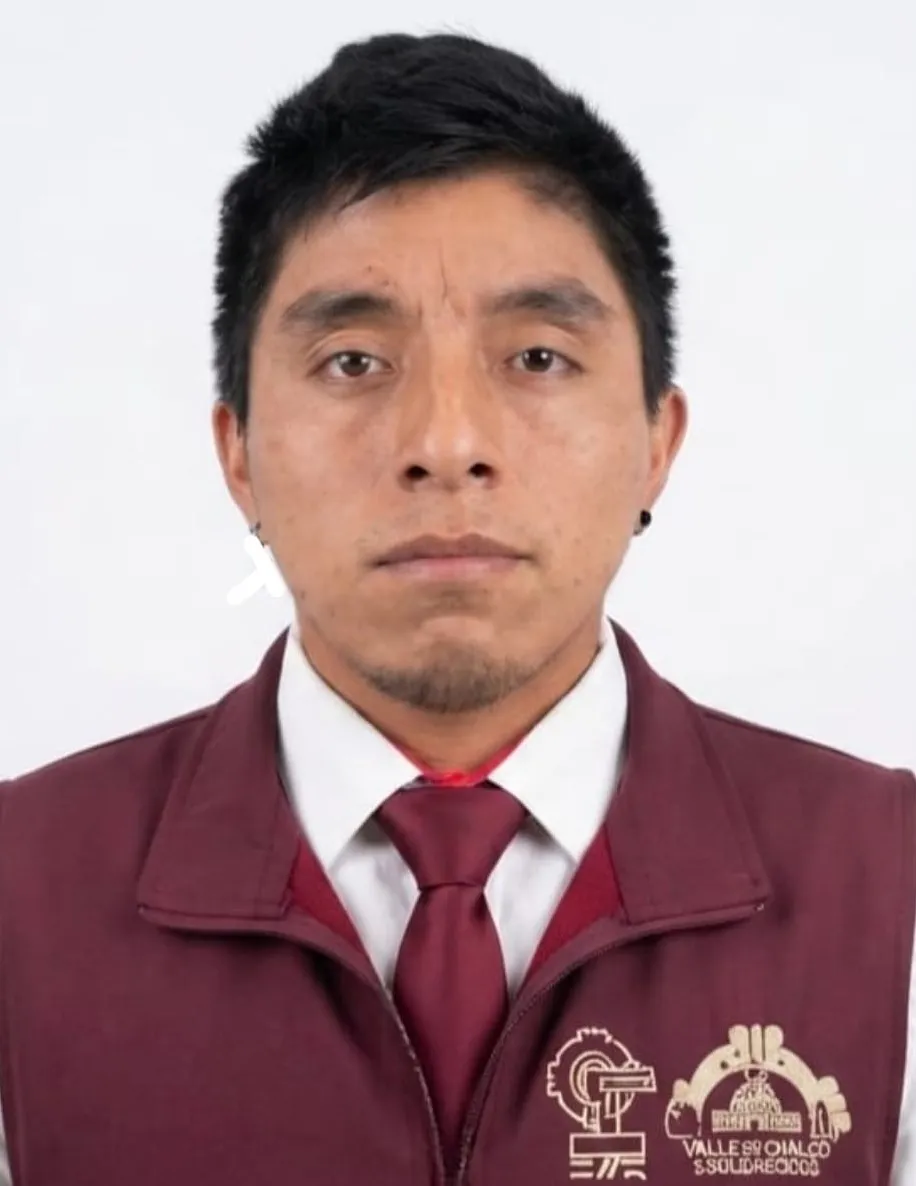 Verificador