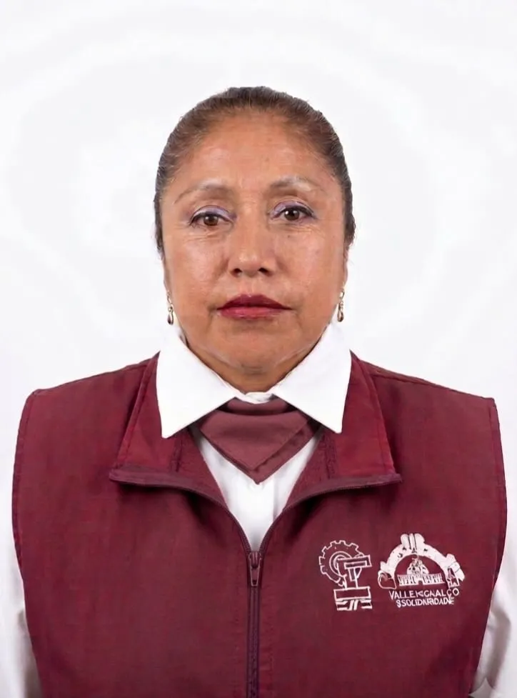 Verificador