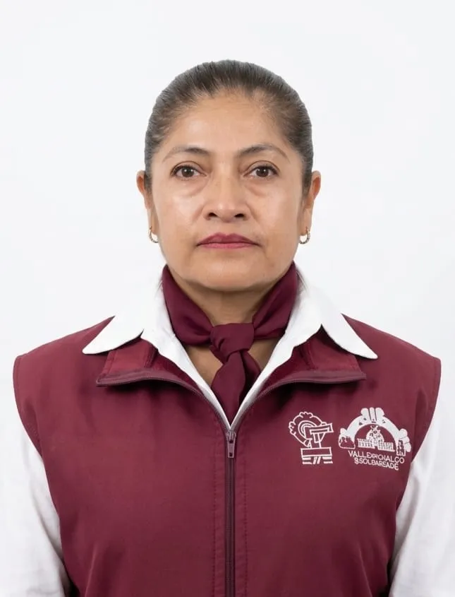 Verificador