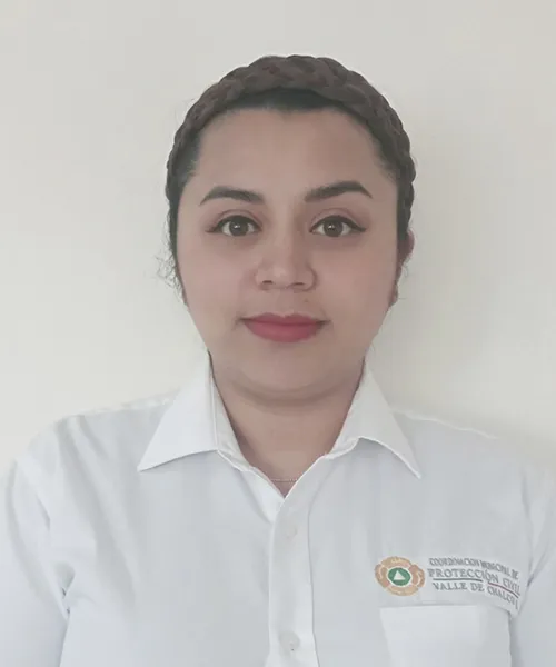 Verificador