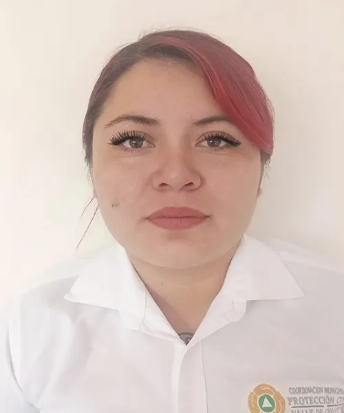Verificador