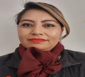 Verificador